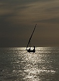 Dhow at sunset